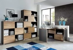 Livingruhm Schiebetürregal Eiche Anthrazit 120 X 196 X 35 Cm