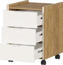 Livingruhm Rollcontainer Eiche -Paulmann Store 4148 242 pe open a cut 1280x1280