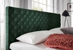 Livingruhm Boxspringbett La Maison 160 X 200 Cm Dunkelgrün Metallfüße Graphit 8 Livingruhm Boxspringbett La Maison 160 X 200 Cm Dunkelgrün Metallfüße Graphit -Paulmann Store La Maison Riviera 38 dunkelgr n Detail KT 20737 Bett 01 02 Dunkelgr nSiBWOD2iLtFUr 1280x1280