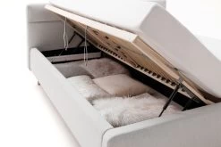 Livingruhm Polsterbett Lotte 160 X 200 Cm Hellgrau -Paulmann Store Lotte hellgrau 83 BK Detail 8374 18 fein 1280x1280