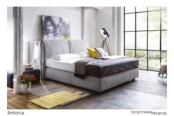 Design Boxspringbett Antonia 180x200 Cm Hellgrau Anthrazit