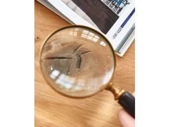 Designer Esstisch / Massivholztisch Denver Eiche Massiv 200 X 100 Cm Wildeiche Oval Bodahl 18 Designer Esstisch / Massivholztisch Denver Eiche Massiv 200 X 100 Cm Wildeiche Oval Bodahl -Paulmann Store designer esstisch massivholztisch denver eiche massiv 200x100cm 10448 4D2f 1280x1280